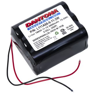 Dantona L111A68-6-11-2W Lithium Ion Battery 11.1V 6800mAh