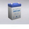 PowerSonic PS1227 Lead Acid Battery 12V 2900 mAh